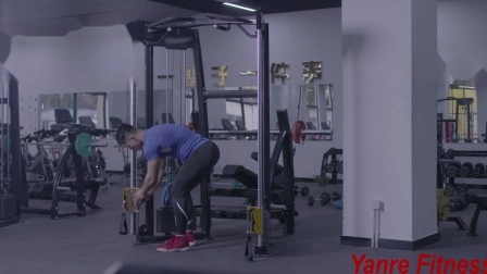 Entraîneur fonctionnel professionnel de Machine de forme physique de gymnase d'équipement d'entraînement de Musculation de Gimnasio de Logo fait sur commande professionnel